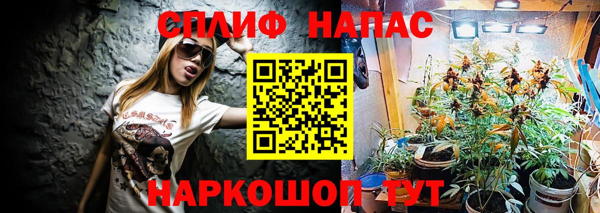 Бошки Шишки White Widow  Вход с VPN  Белово  Конопля сатива 